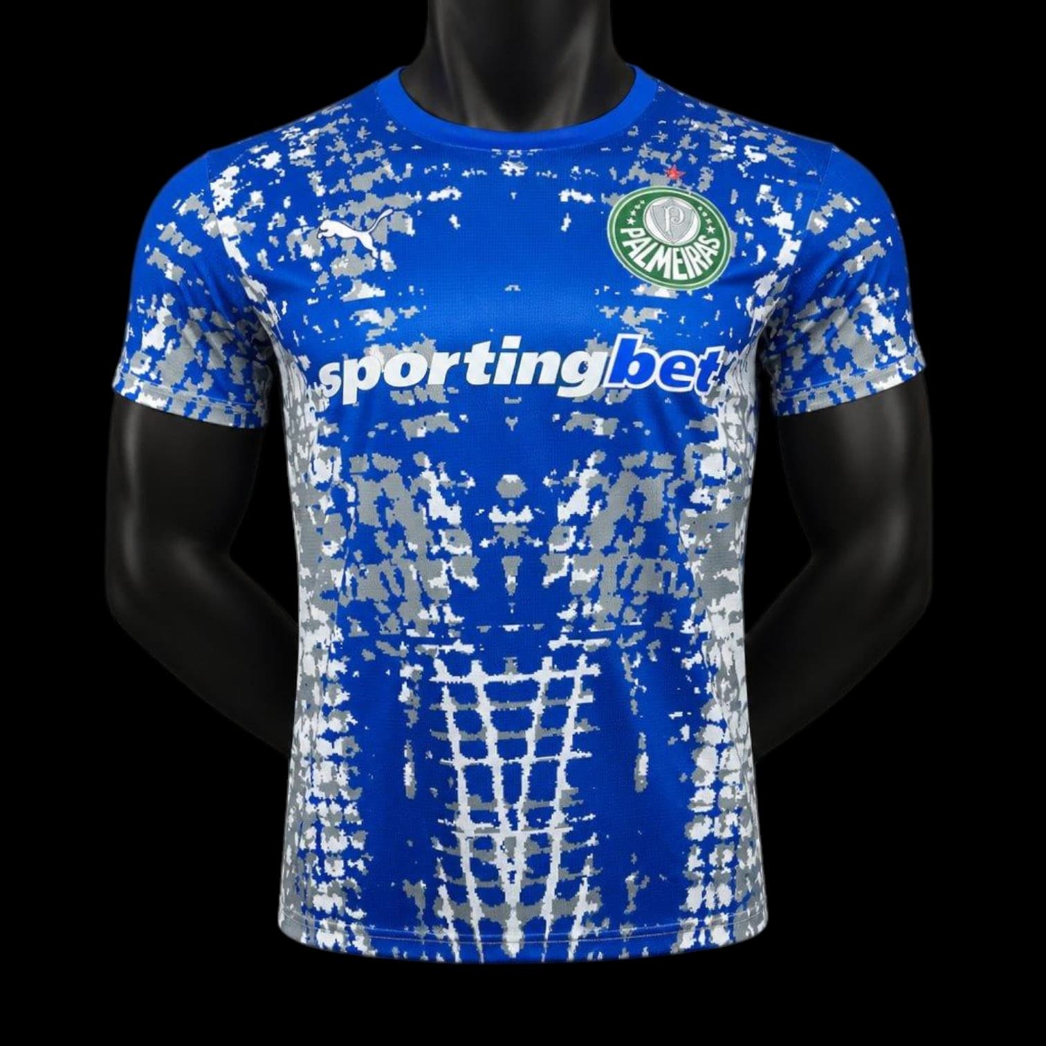 Palmeiras Maillot Gardien 25/26 – Version Player