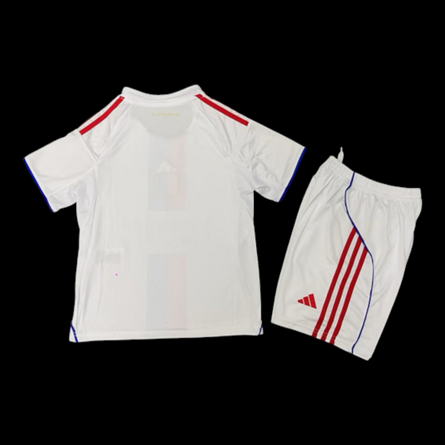 Lyon Maillot Domicile 25/26 – Enfant