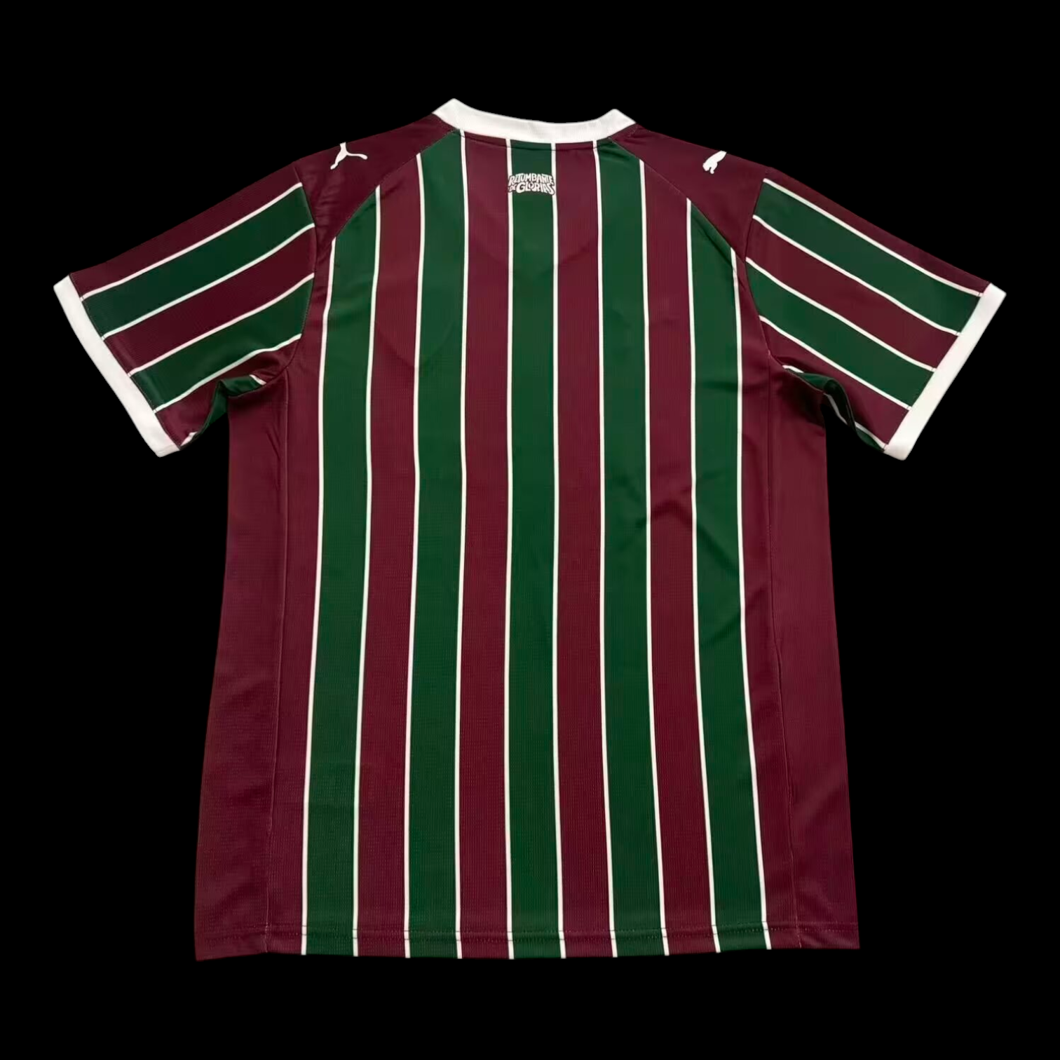 Fluminense Maillot Domicile 26/27