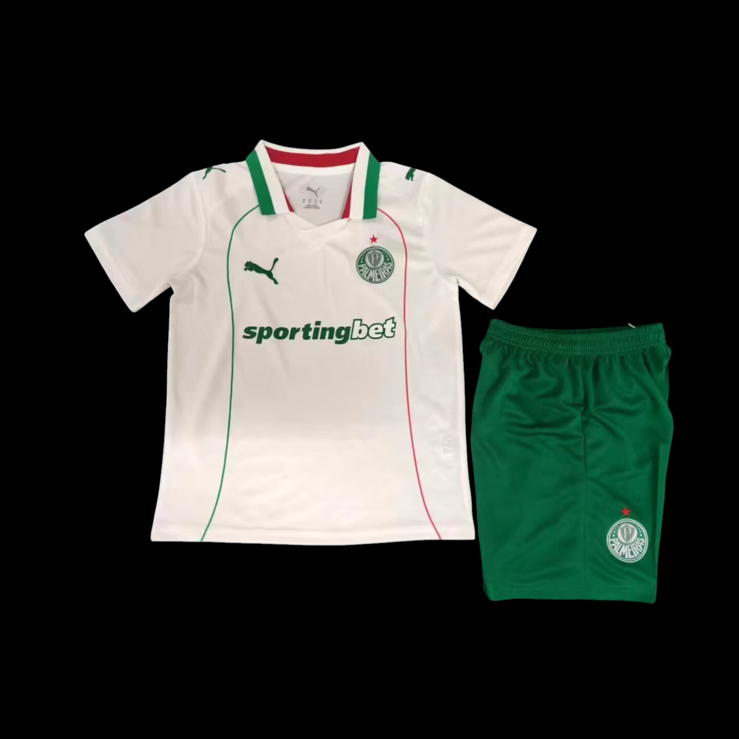 Palmeiras Maillot Extérieur 26/27 – Enfant
