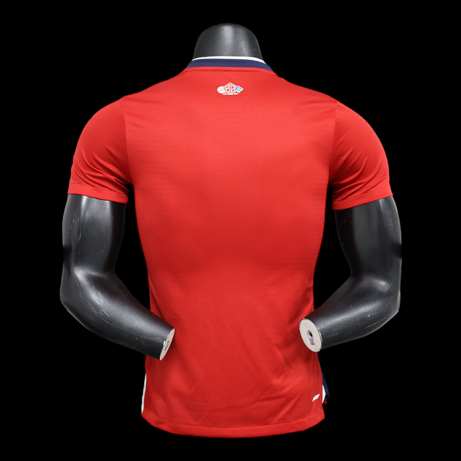 Lille Maillot Domicile 24/25 – Version Player