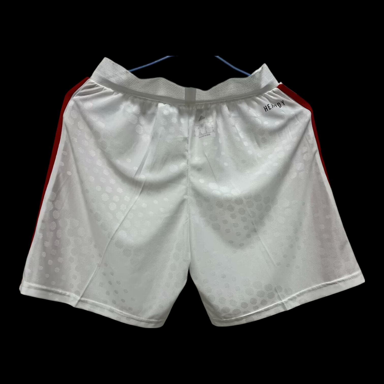 Benfica Short Domicile 25/26