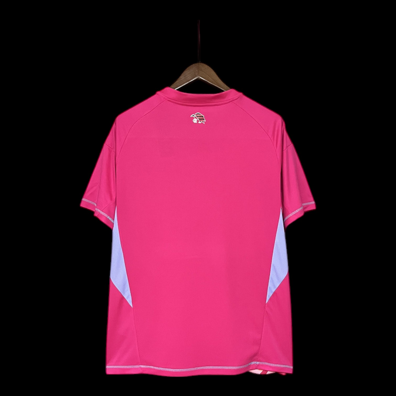 Flamengo Maillot Gardien 25/26