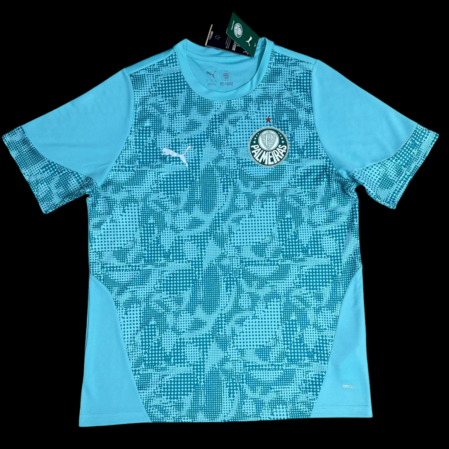 Palmeiras Maillot Gardien 26/27