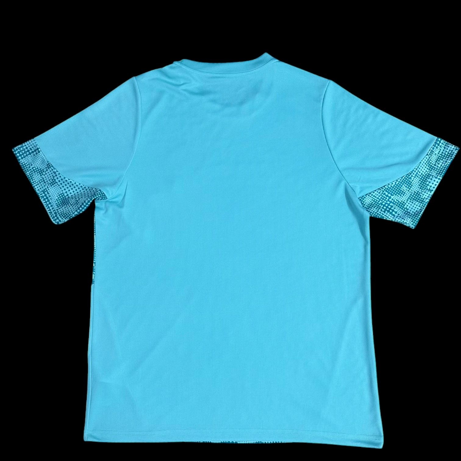 Palmeiras Maillot Gardien 26/27