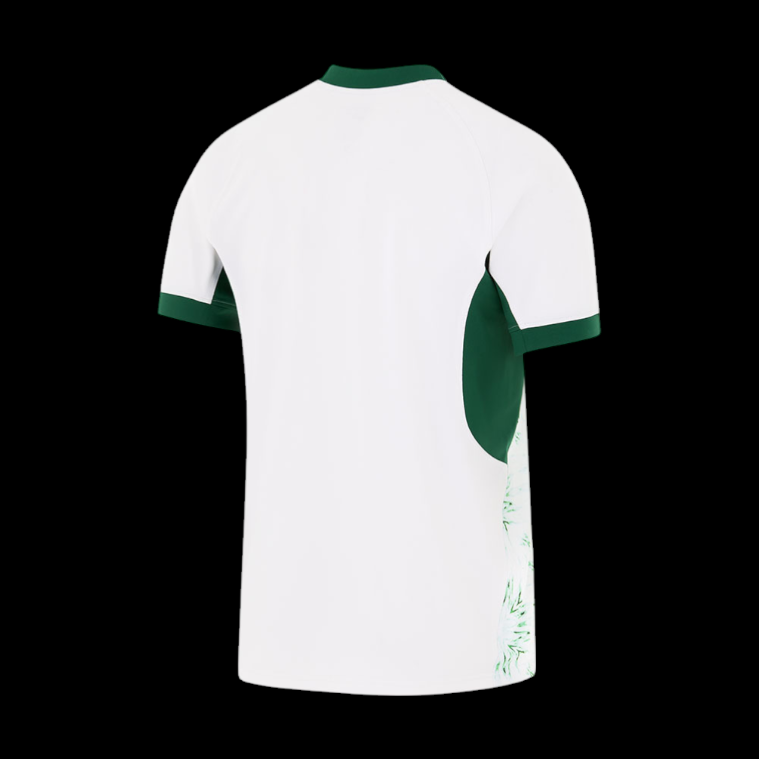 Afrique du Sud Rugby (Springboks) Maillot Extérieur 2024/2025