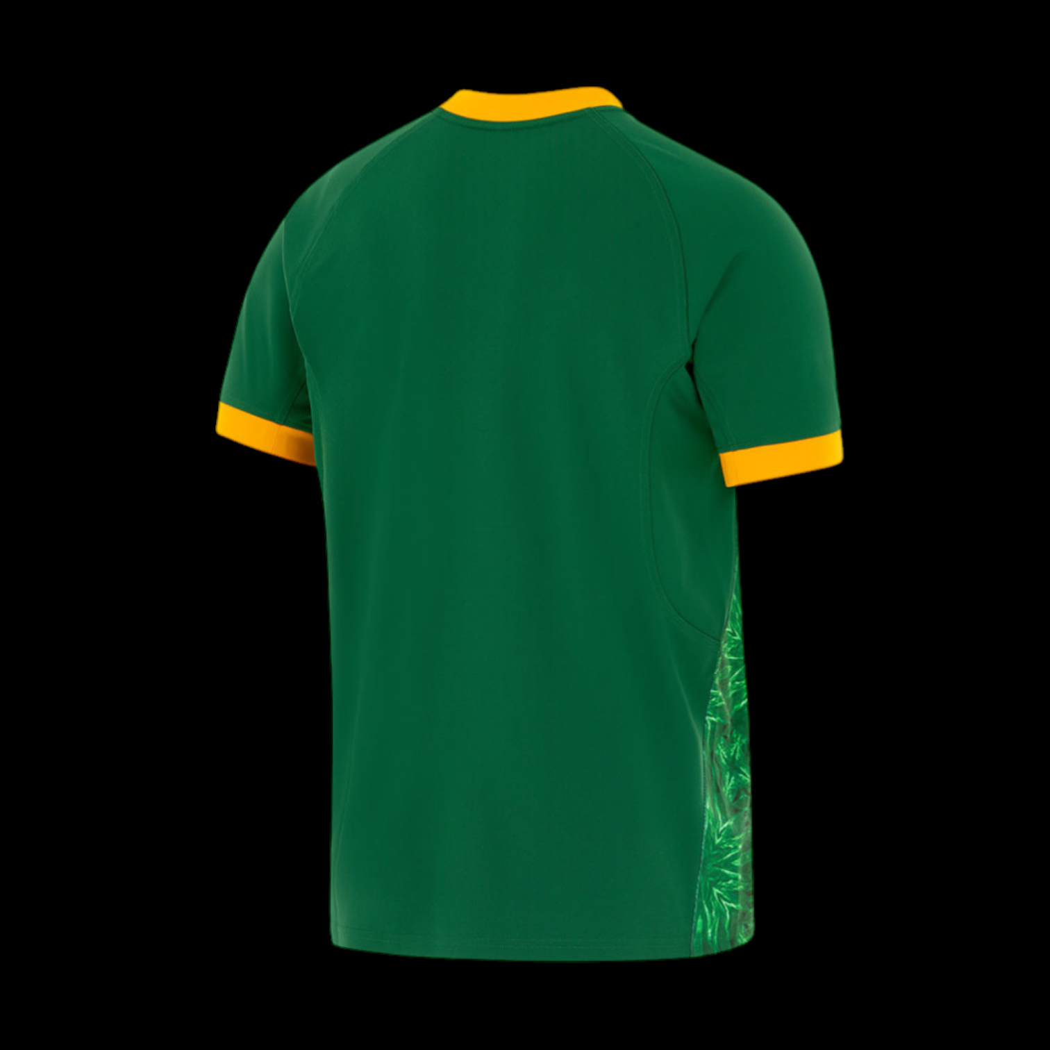 Afrique du Sud Rugby (Springboks) Maillot Domicile 2024/2025