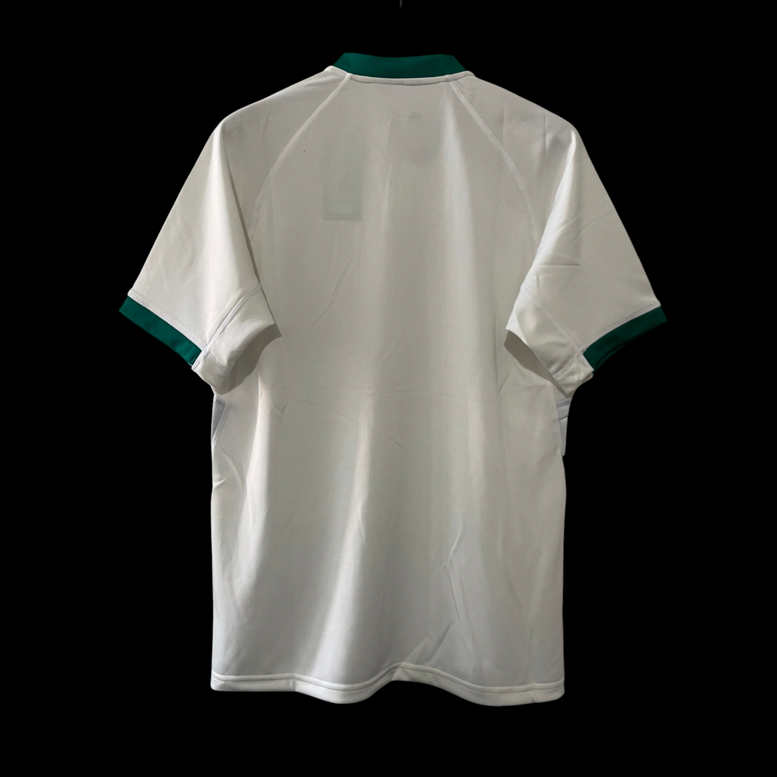 Irlande Rugby Maillot Extérieur 2024/2025